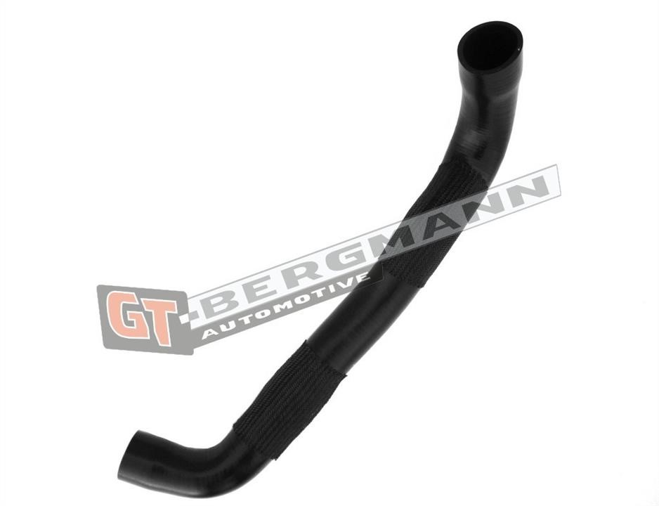 Buy Gt Bergmann GT52272 – good price at EXIST.AE!