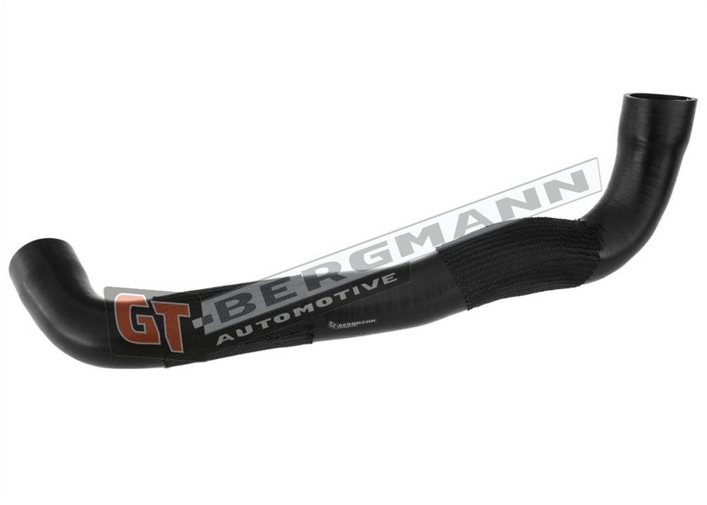 Intake hose Gt Bergmann GT52-272