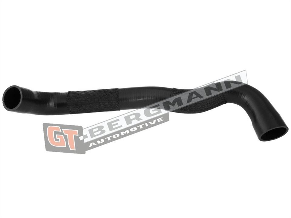Buy Gt Bergmann GT52-272 at a low price in United Arab Emirates!