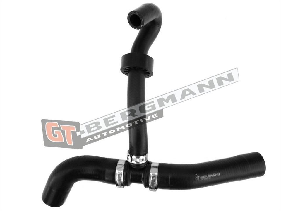 Coolant hose Gt Bergmann GT52-273