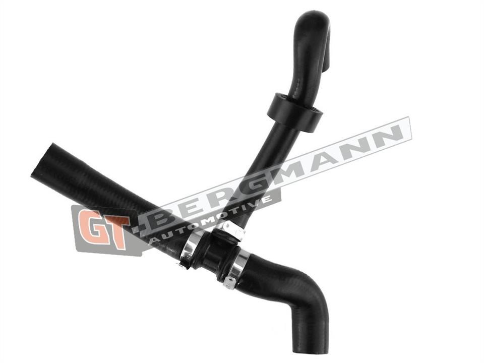 Buy Gt Bergmann GT52-273 at a low price in United Arab Emirates!