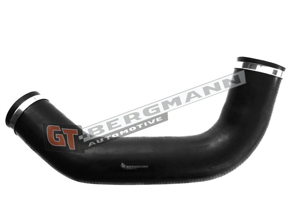 Buy Gt Bergmann GT52-234 at a low price in United Arab Emirates!