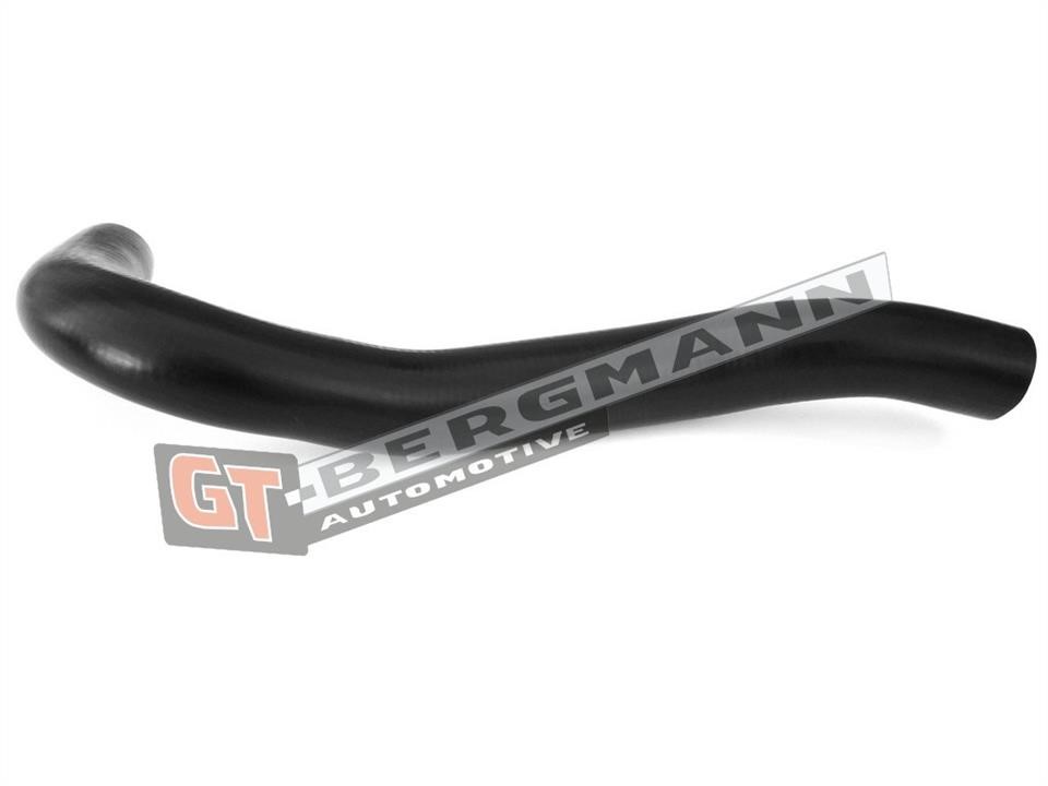 Buy Gt Bergmann GT52-274 at a low price in United Arab Emirates!