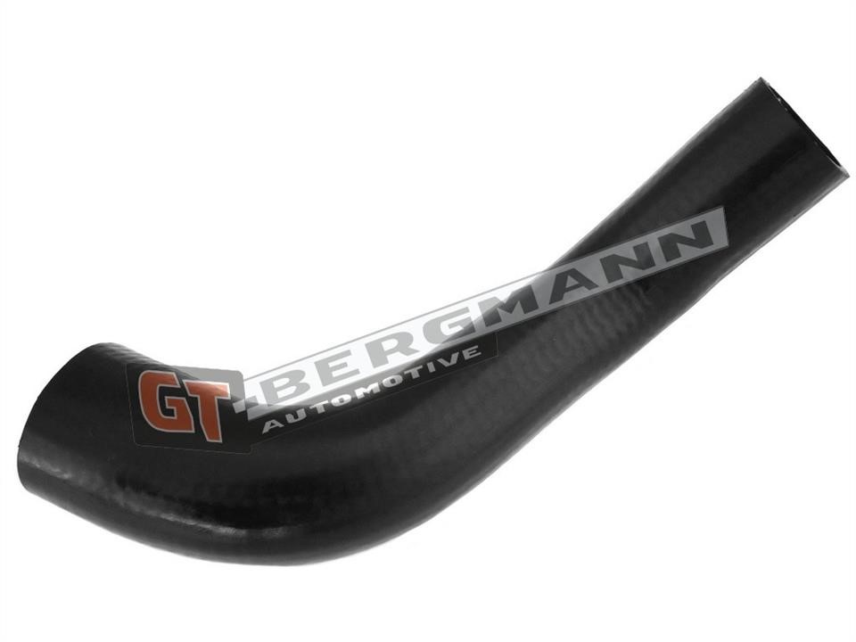 Buy Gt Bergmann GT52-276 at a low price in United Arab Emirates!