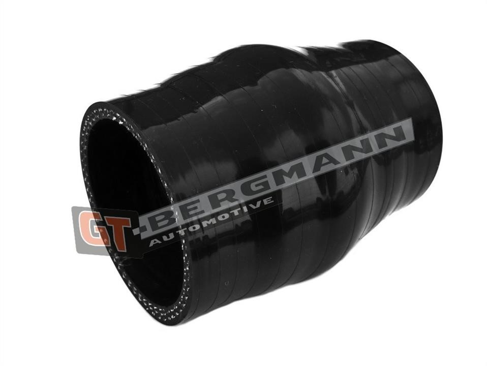Gt Bergmann GT52-237 Intake hose GT52237