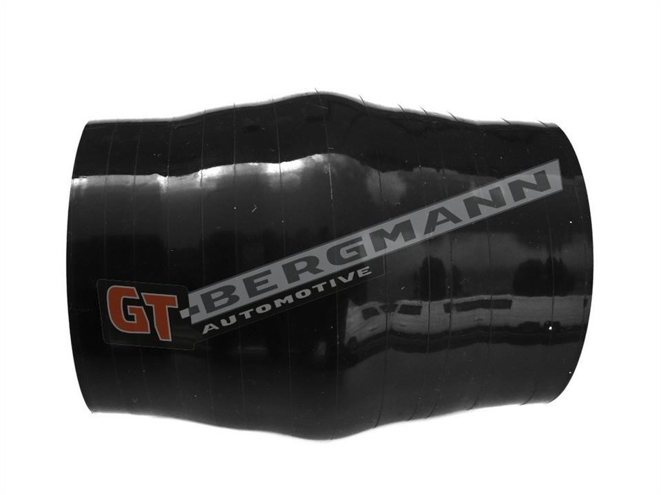 Buy Gt Bergmann GT52-237 at a low price in United Arab Emirates!