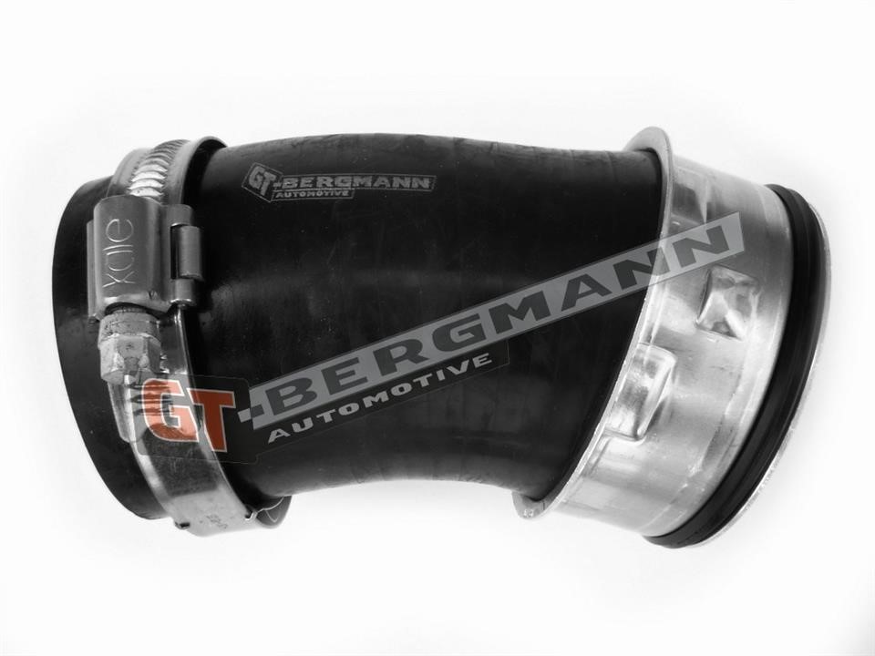 Gt Bergmann GT52-239 Intake hose GT52239