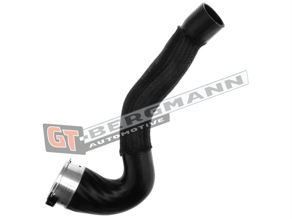 Gt Bergmann GT52-240 Intake hose GT52240