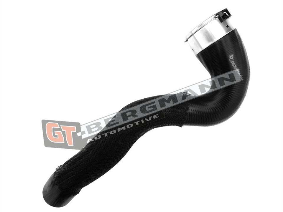 Buy Gt Bergmann GT52-240 at a low price in United Arab Emirates!
