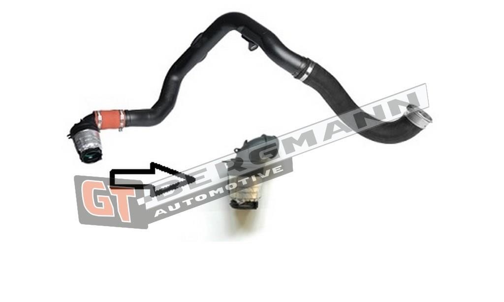 Buy Gt Bergmann GT52-258 at a low price in United Arab Emirates!