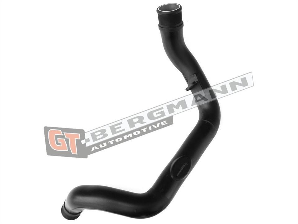 Gt Bergmann GT52-259 Intake hose GT52259
