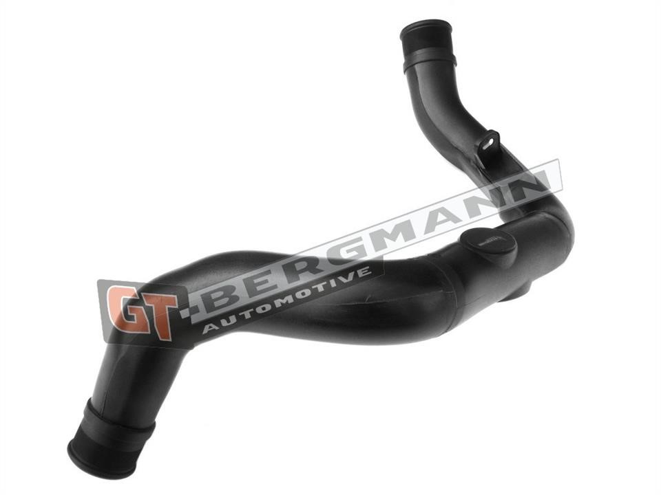 Buy Gt Bergmann GT52-259 at a low price in United Arab Emirates!