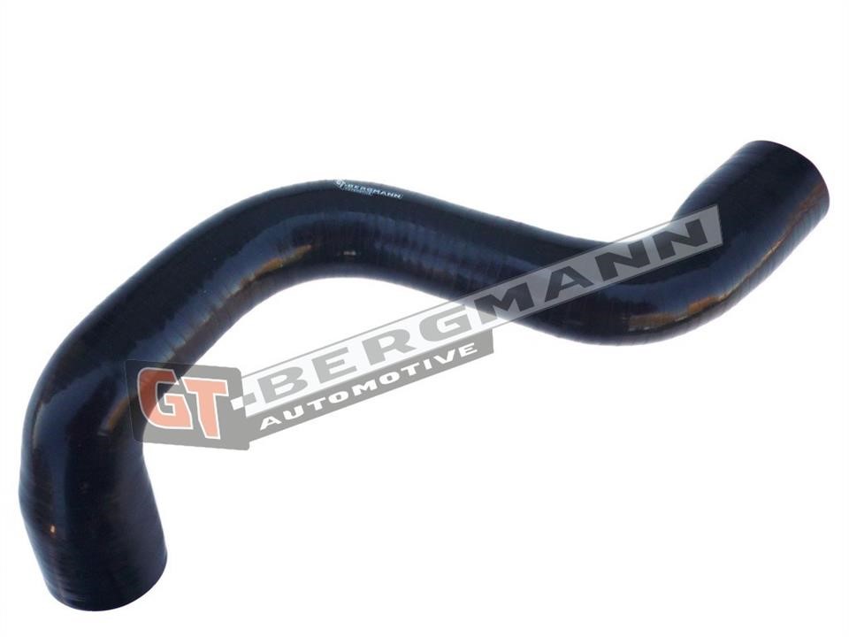 Gt Bergmann GT52-280 Intake hose GT52280