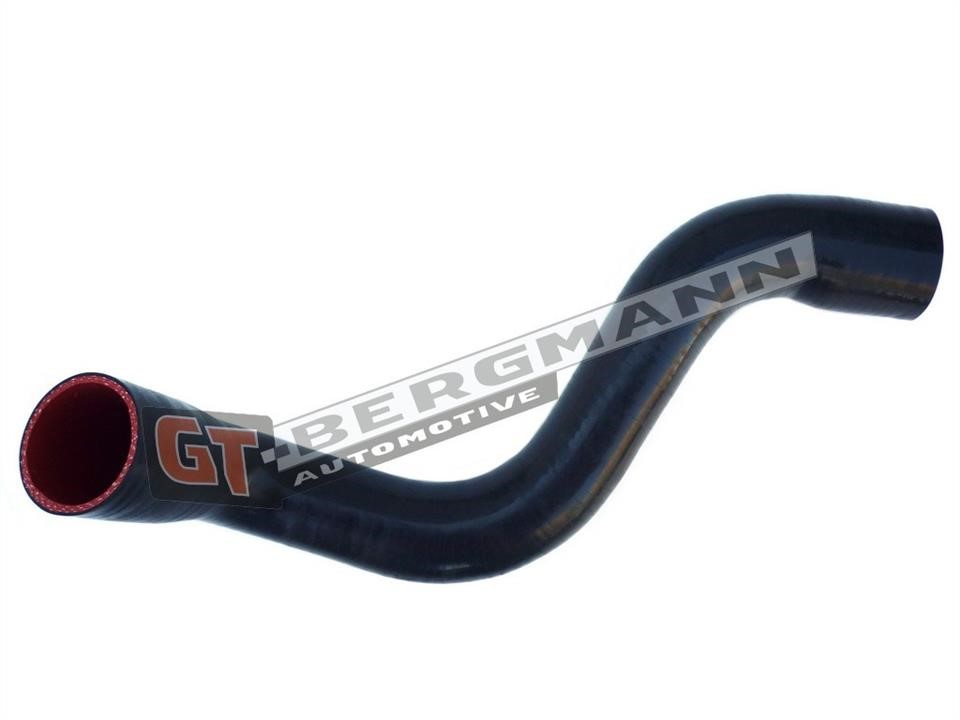 Buy Gt Bergmann GT52280 – good price at EXIST.AE!