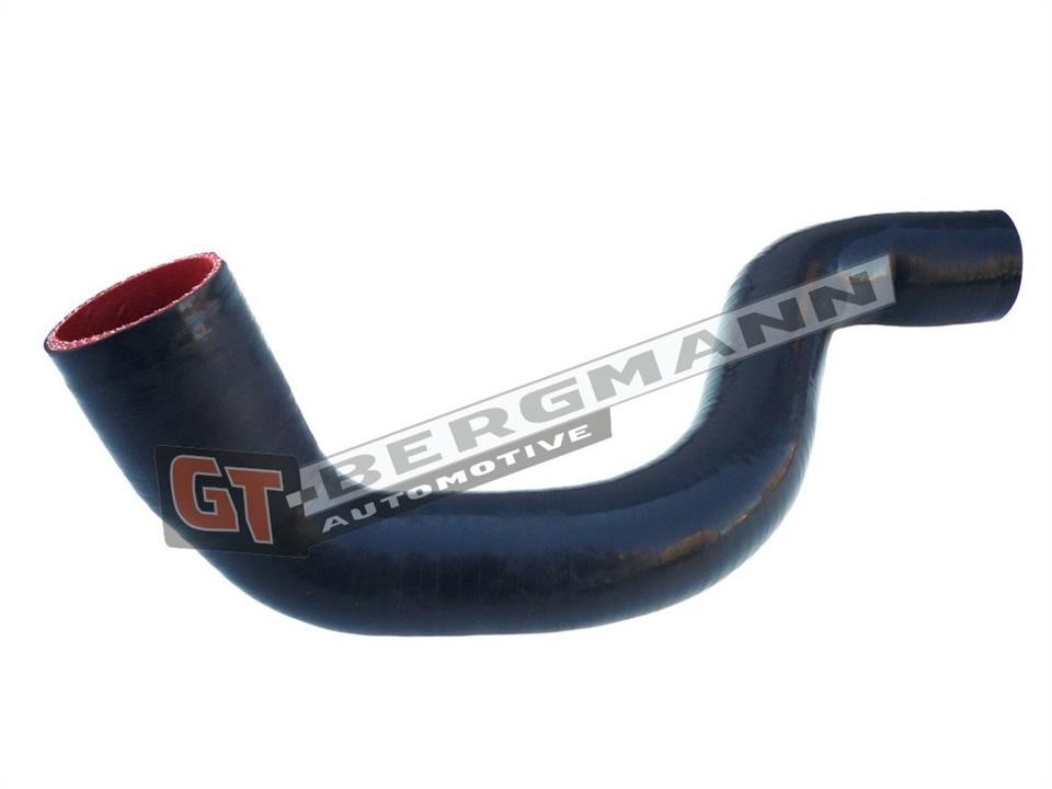 Buy Gt Bergmann GT52-280 at a low price in United Arab Emirates!