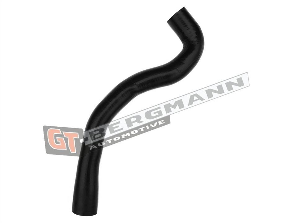 Intercooler pipe Gt Bergmann GT52-281