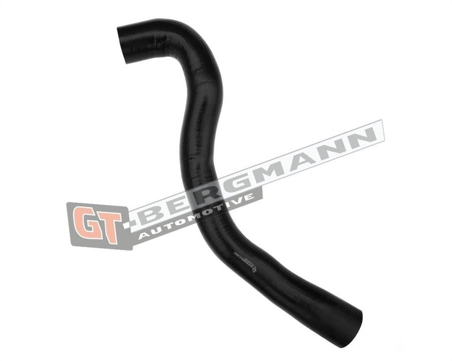 Buy Gt Bergmann GT52-281 at a low price in United Arab Emirates!