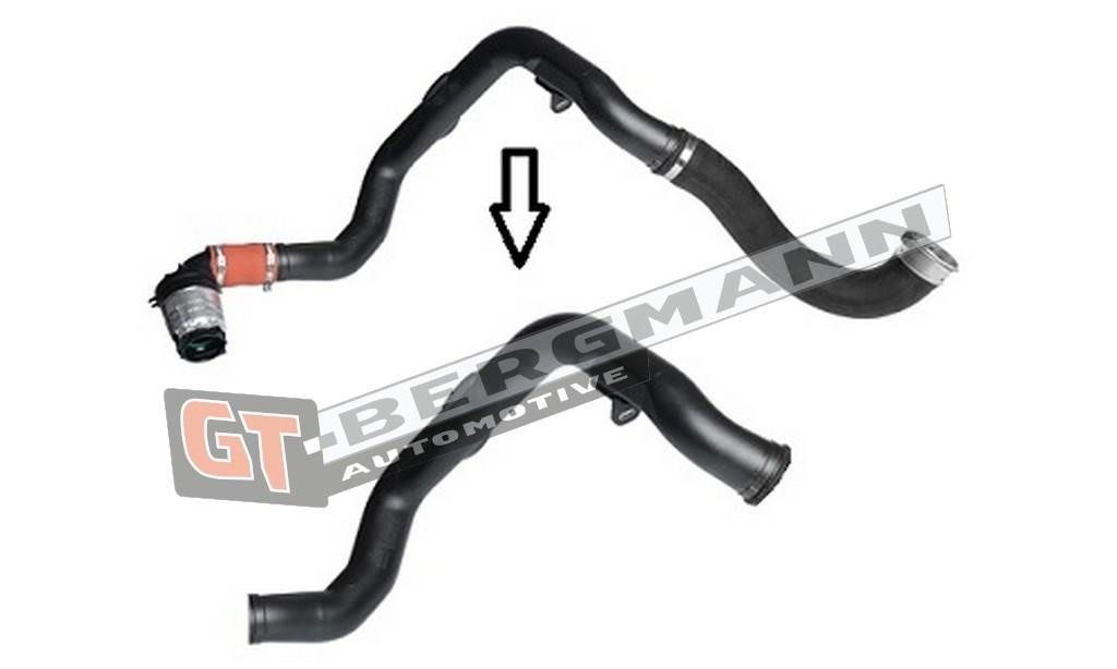 Buy Gt Bergmann GT52259 – good price at EXIST.AE!