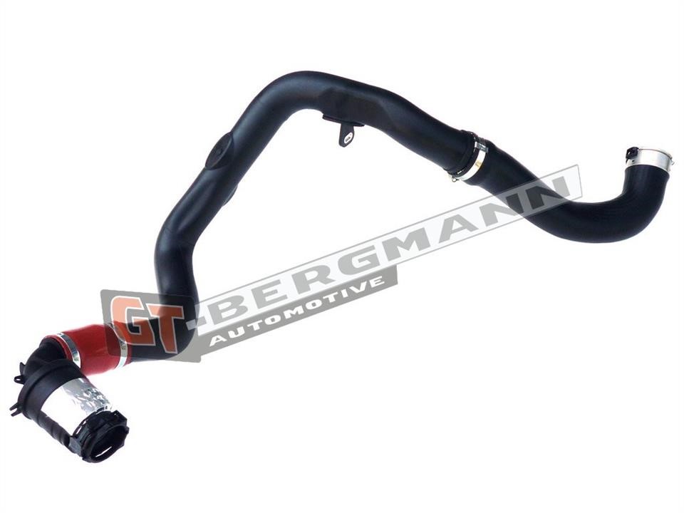Gt Bergmann GT52-260 Intake hose GT52260