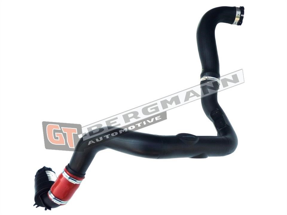 Buy Gt Bergmann GT52260 – good price at EXIST.AE!