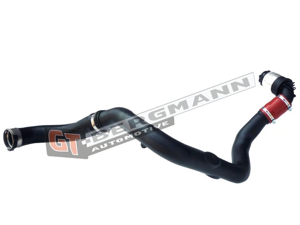 Buy Gt Bergmann GT52-260 at a low price in United Arab Emirates!