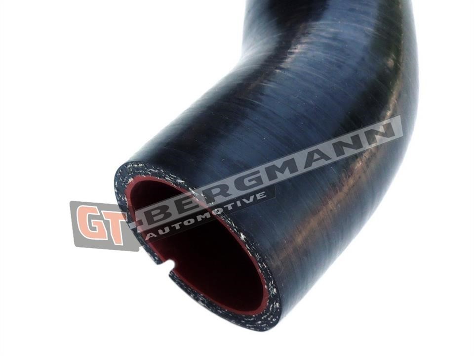 Buy Gt Bergmann GT52261 – good price at EXIST.AE!