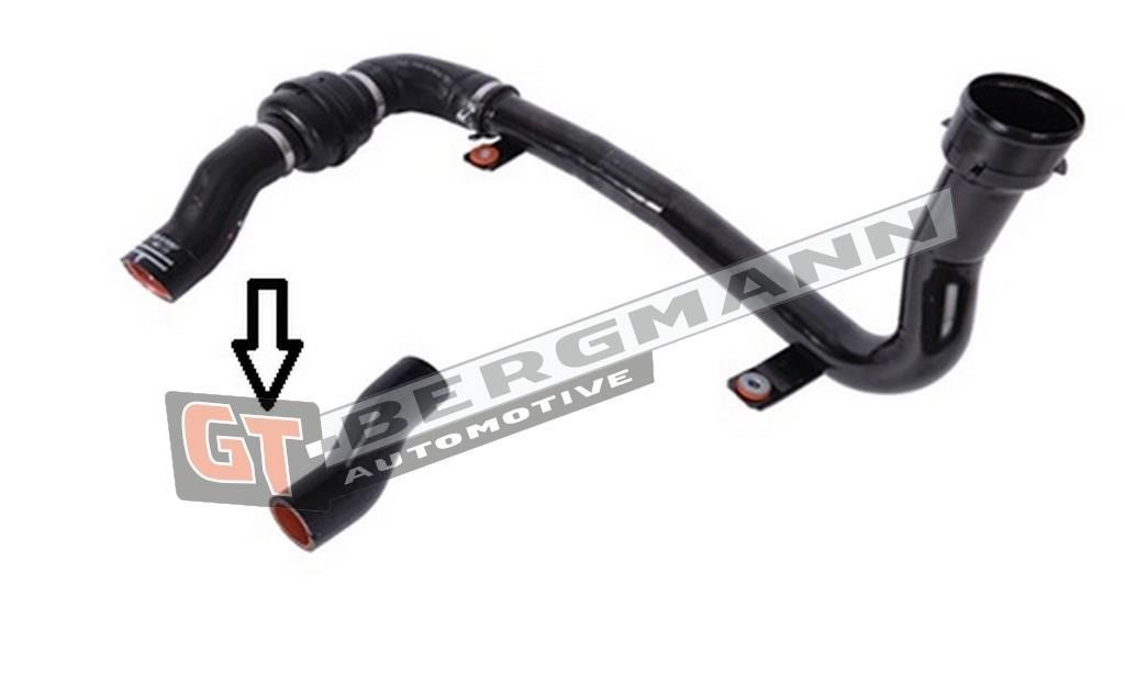 Buy Gt Bergmann GT52-261 at a low price in United Arab Emirates!