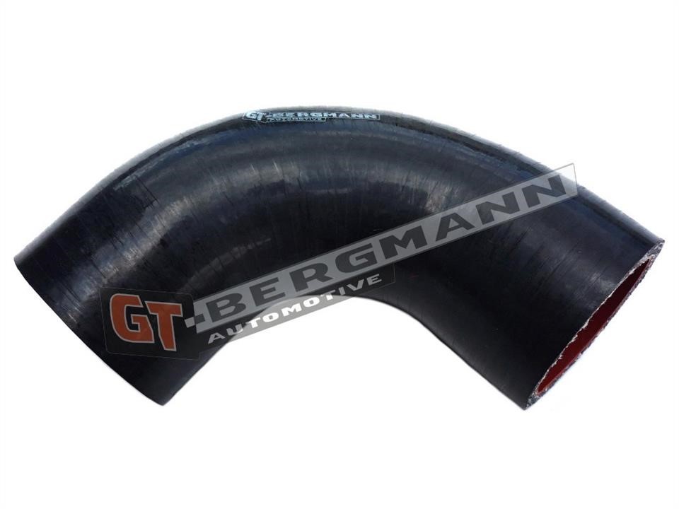 Buy Gt Bergmann GT52262 – good price at EXIST.AE!