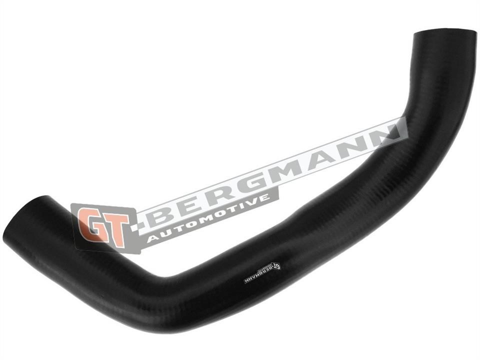 Intake hose Gt Bergmann GT52-285