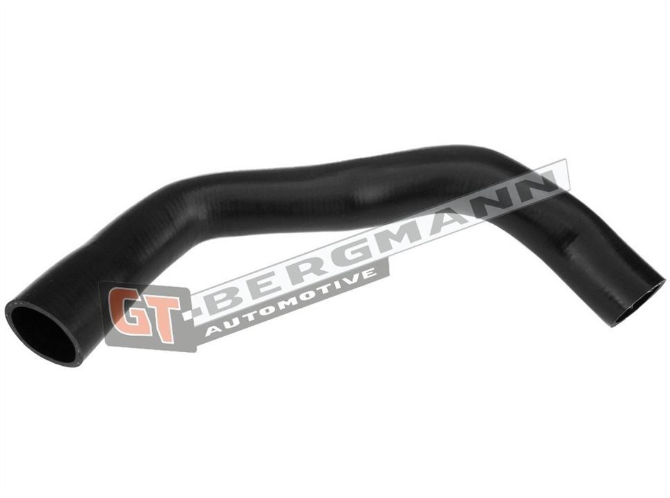 Buy Gt Bergmann GT52-285 at a low price in United Arab Emirates!