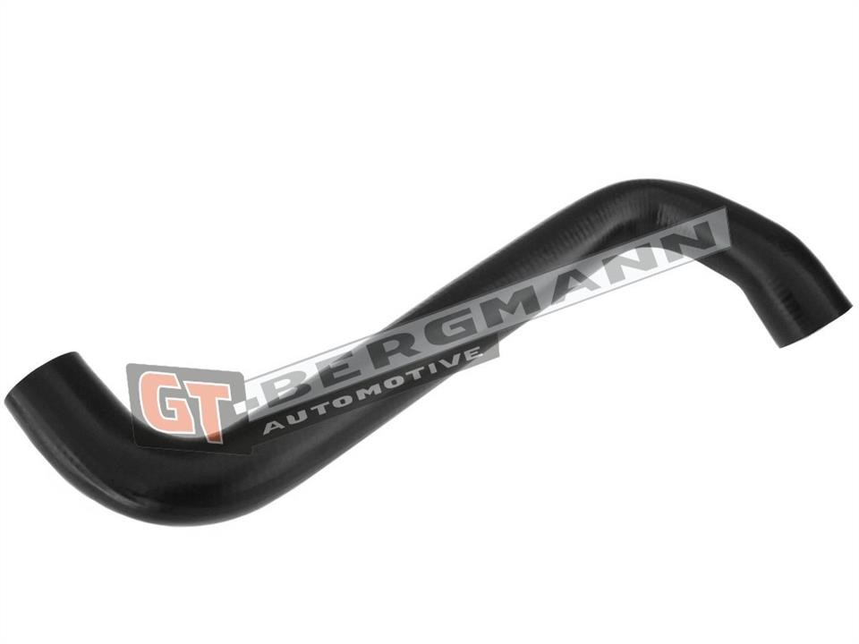 Buy Gt Bergmann GT52-308 at a low price in United Arab Emirates!