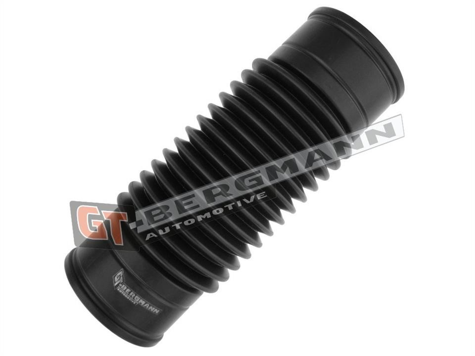 Gt Bergmann GT52-391 Air filter nozzle, air intake GT52391