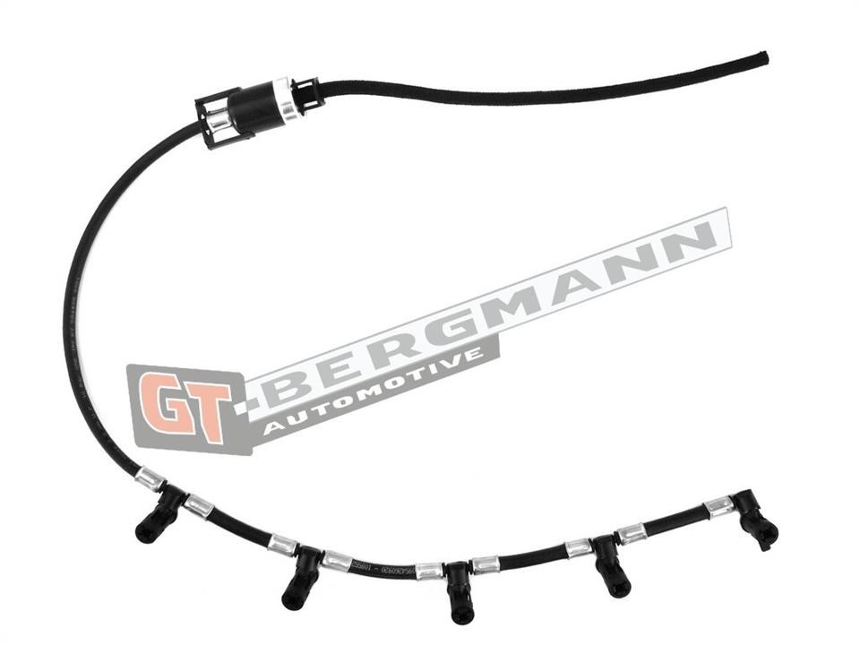 Gt Bergmann GT52-270 Fuel pipe GT52270