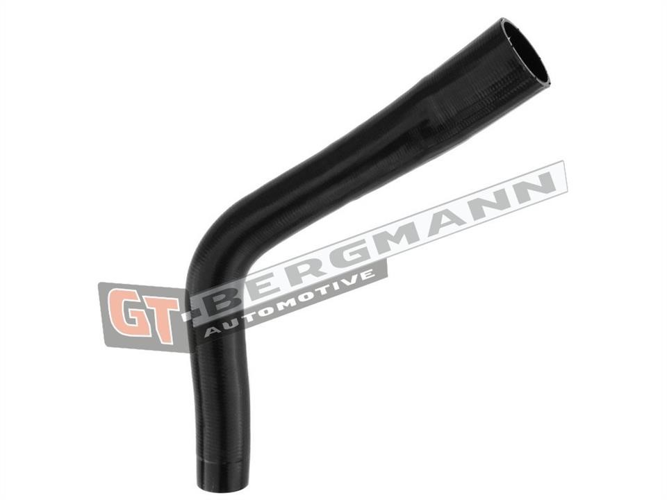 Gt Bergmann GT52-271 Intake hose GT52271