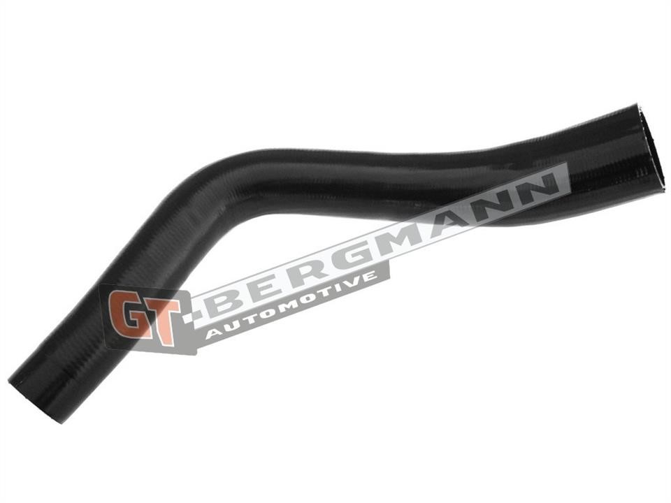 Buy Gt Bergmann GT52-271 at a low price in United Arab Emirates!