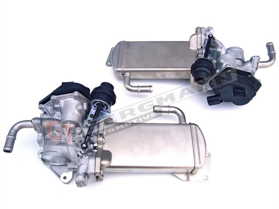GT55003 Gt Bergmann EGR Valve
