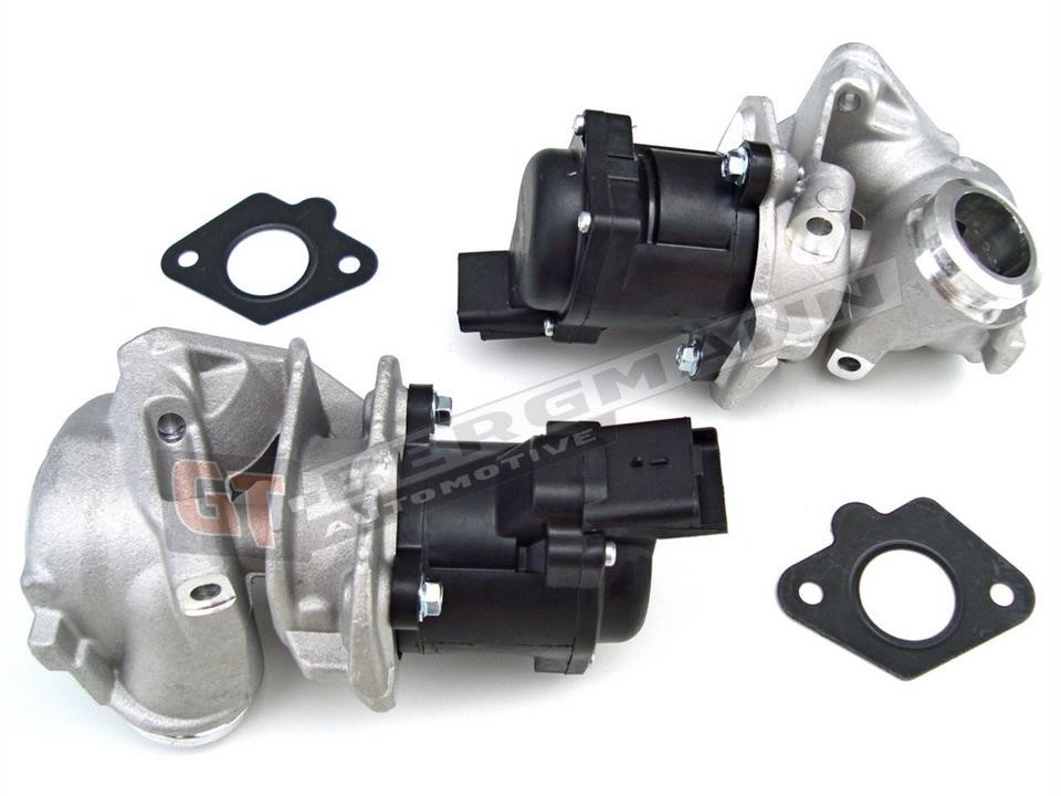 GT55004 Gt Bergmann EGR Valve