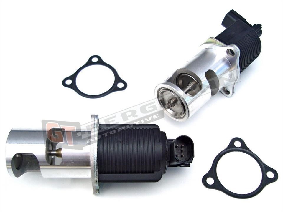 GT55013 Gt Bergmann EGR Valve
