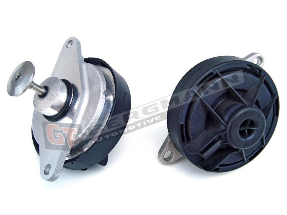 GT55021 Gt Bergmann EGR Valve