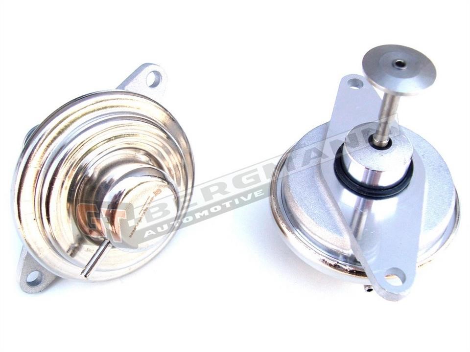 GT55027 Gt Bergmann EGR Valve