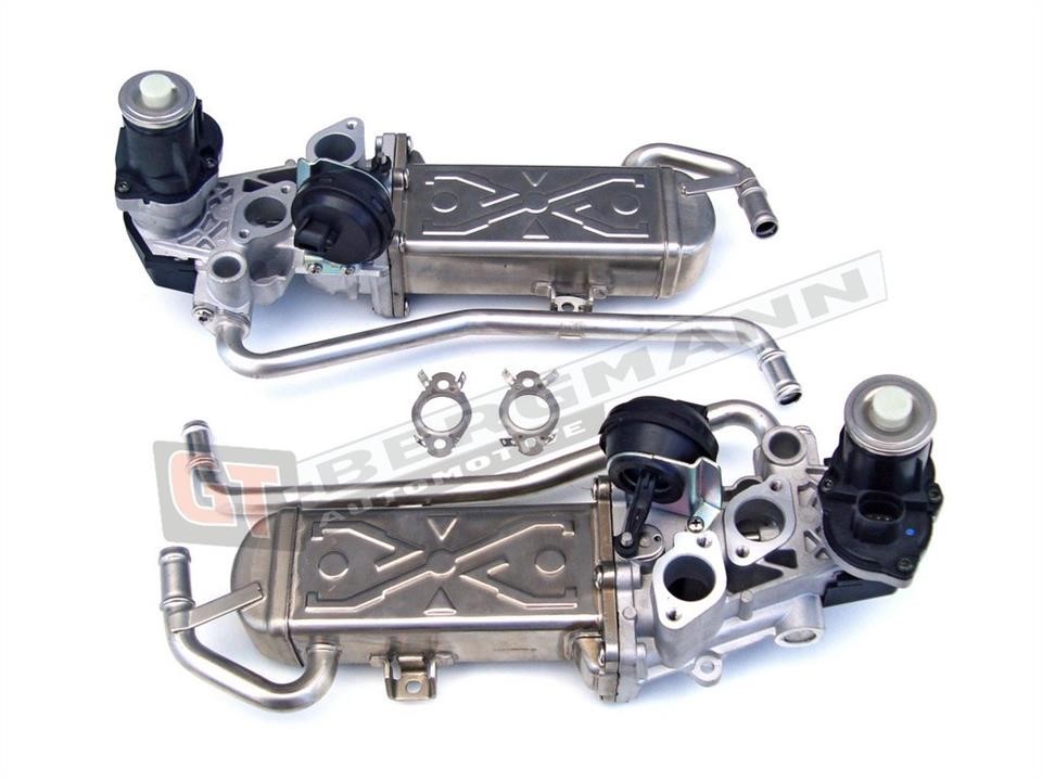 GT55032 Gt Bergmann EGR Valve
