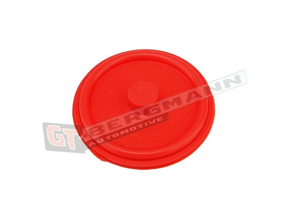 Diaphragms Opel: GT58013 Gt Bergmann Membrane