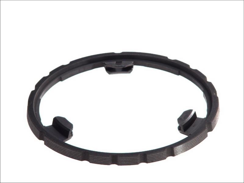 60530518 Euroricambi Synchronizer