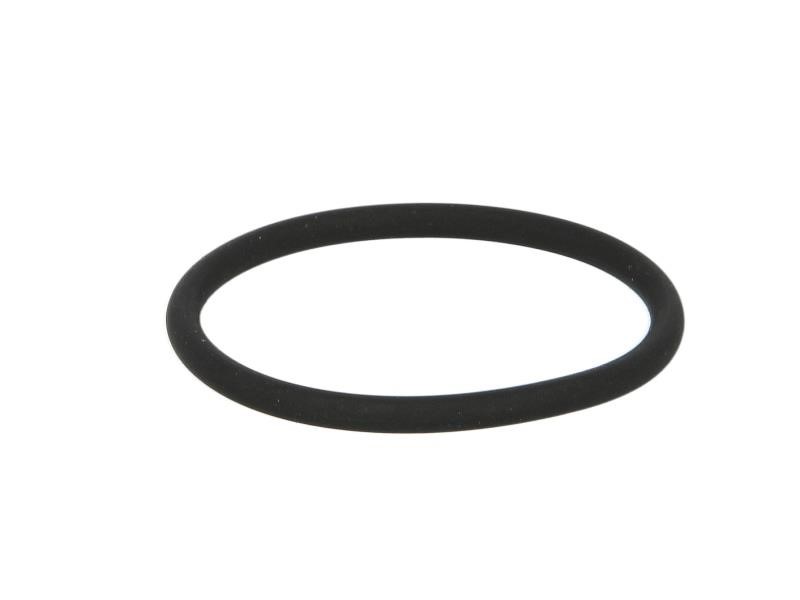 95532570 Euroricambi Primary shaft bearing