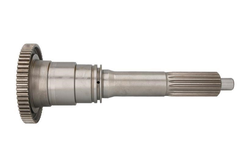 60532450 Euroricambi Shaft primary check point
