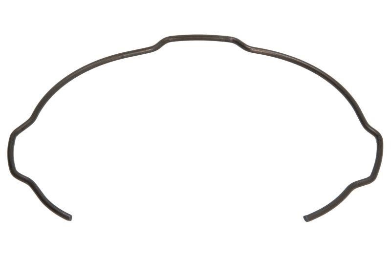 12846 Antonio Masiero Synchronizer element