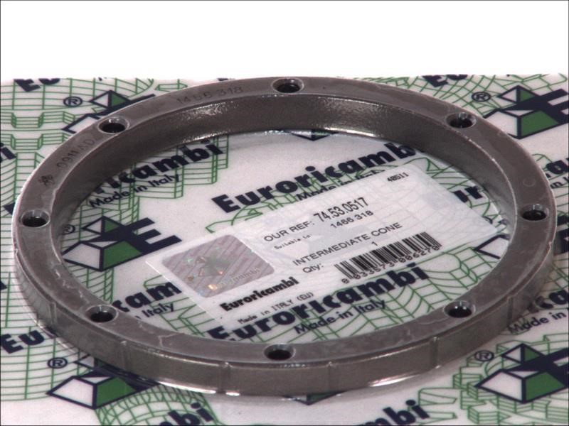 74530517 Euroricambi Synchronizer