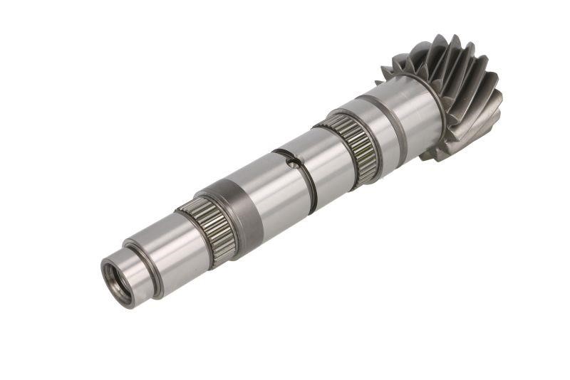 12753 Antonio Masiero Gear