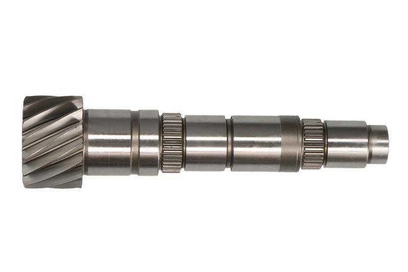 12905 Antonio Masiero Gear