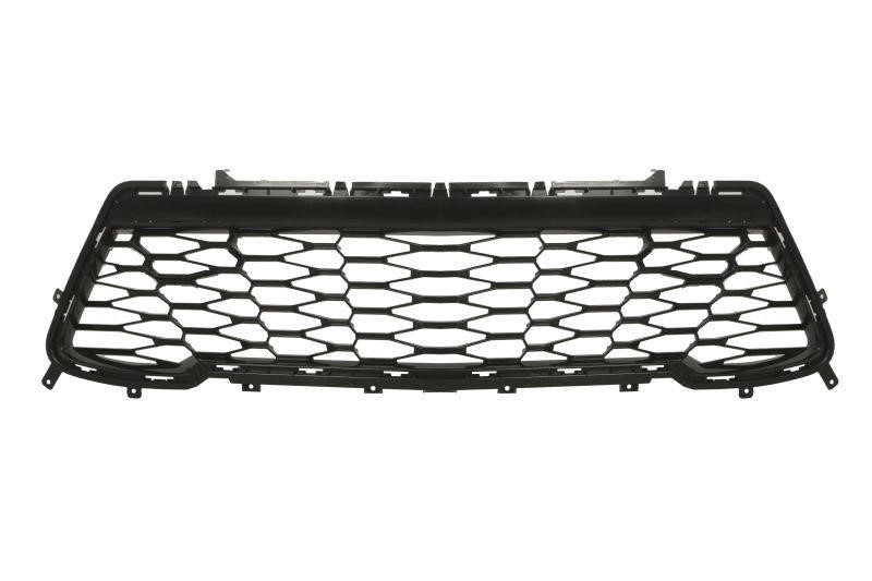 Bumper mesh Chevrolet Camaro: 6502071196916P Blic Front bumper grill